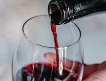 Focus: Top vina u Hrvatskoj 